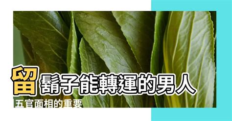 下巴留鬍子面相|2024年留鬍子旺桃花的5個方法